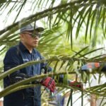 Holding Perkebunan Nusantara Siaga Hadapi Kemarau, PalmCo Perkuat Deteksi Dini Karhutla dan Strategi Agronomi Holding Perkebunan Nusantara Siaga Hadapi Kemarau, PalmCo Perkuat Deteksi Dini Karhutla dan Strategi Agronomi