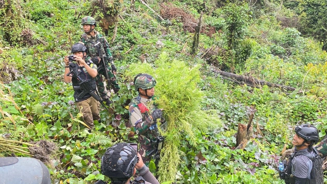 Jenderal Lucky Avianto Turun Gunung Hancurkan Ladang Ganja Di Pedalaman Rimba, Paska ‘Dilegalkan’ OPM Papua Jenderal Lucky Avianto Turun Gunung Hancurkan Ladang Ganja Di Pedalaman Rimba, Paska ‘Dilegalkan’ OPM Papua