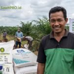 Di Tengah Ketidakpastian Global, SawitPRO Hadir Mempermudah Petani Mendapatkan Pupuk Sawit dan Benih Unggul Di Tengah Ketidakpastian Global, SawitPRO Hadir Mempermudah Petani Mendapatkan Pupuk Sawit dan Benih Unggul