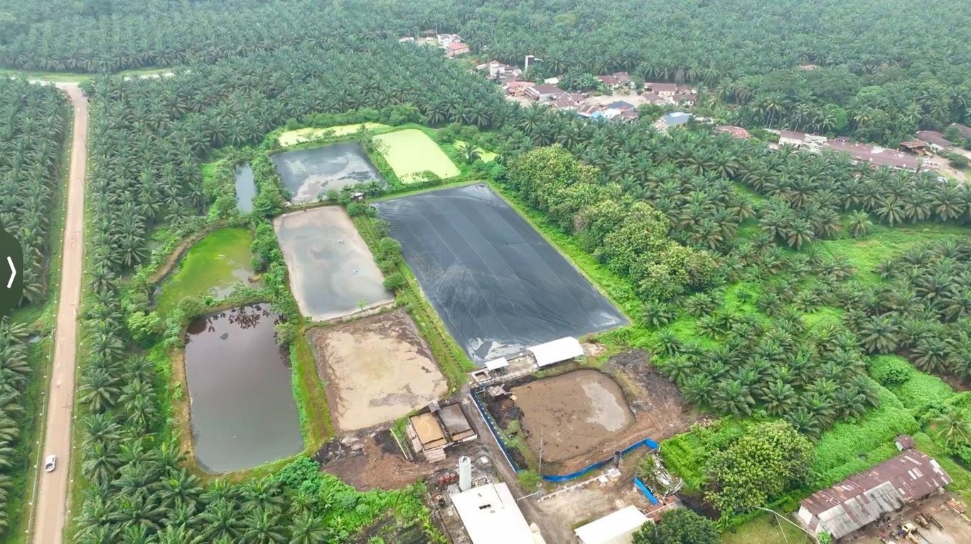 Hadapi Gejolak Energi Global, Holding Perkebunan Nusantara Andalkan PLTBg PalmCo Hadapi Gejolak Energi Global, Holding Perkebunan Nusantara Andalkan PLTBg PalmCo