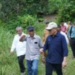 Didorong Kementan, Holding Perkebunan Nusantara Percepat Hilirisasi Gambir Nasional Didorong Kementan, Holding Perkebunan Nusantara Percepat Hilirisasi Gambir Nasional