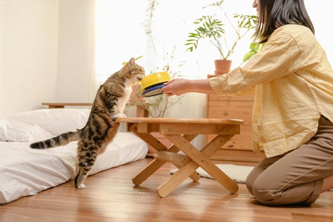 Tren Cat Food Minim Pengawet Semakin Diminati di Indonesia