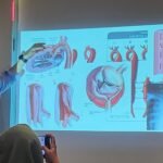 Kecepatan Menjadi Kunci Penyelamatan Nyawa pada Penanganan Penyakit Aorta Kompleks di Era Modern Kecepatan Menjadi Kunci Penyelamatan Nyawa pada Penanganan Penyakit Aorta Kompleks di Era Modern