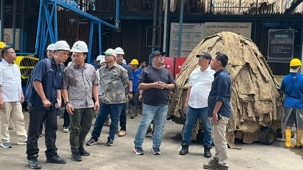 Holding Perkebunan Nusantara Perkuat Produktivitas Karet, PTPN I Fokus Benahi Kebun Padang Pelawi Holding Perkebunan Nusantara Perkuat Produktivitas Karet, PTPN I Fokus Benahi Kebun Padang Pelawi