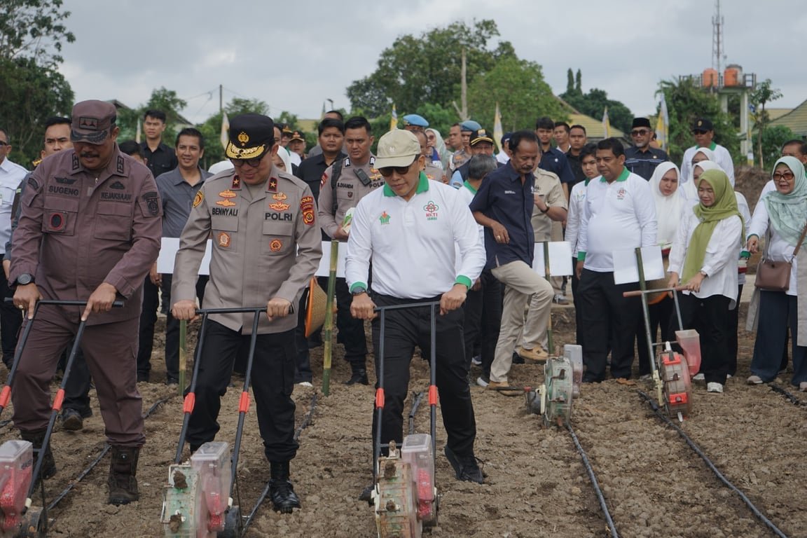 Dukung Ketahanan Pangan, Holding Perkebunan Nusantara Lewat PalmCo Perkuat Kemitraan Petani di Jambi