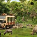 Taman Safari Indonesia Siap Dukung Transformasi Kebun Binatang Bandung sebagai Lembaga Konservasi Modern