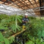 Grup MIND ID Reklamasi 8.000 Hektare Lahan dan Rehabilitasi DAS 37.700 Hektare, Perbaiki Kualitas Keanekaragaman Hayati Grup MIND ID Reklamasi 8.000 Hektare Lahan dan Rehabilitasi DAS 37.700 Hektare, Perbaiki Kualitas Keanekaragaman Hayati