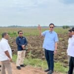 Dukung Program Mandiri Energi Nasional, Holding Perkebunan Nusantara Siapkan 10 Ribu Hektare Lahan Singkong di Lampung Dukung Program Mandiri Energi Nasional, Holding Perkebunan Nusantara Siapkan 10 Ribu Hektare Lahan Singkong di Lampung