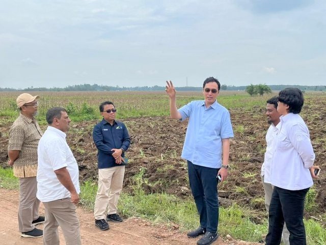 Dukung Program Mandiri Energi Nasional, Holding Perkebunan Nusantara Siapkan 10 Ribu Hektare Lahan Singkong di Lampung Dukung Program Mandiri Energi Nasional, Holding Perkebunan Nusantara Siapkan 10 Ribu Hektare Lahan Singkong di Lampung