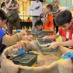 JMFF 2026 Tarik 4.026 Pengunjung, Edukasi Mineral Sambil Merajut Kesatuan Indonesia JMFF 2026 Tarik 4.026 Pengunjung, Edukasi Mineral Sambil Merajut Kesatuan Indonesia