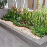 Pagi Ceria Memperkuat Layanan Jasa Taman dan Kolam di Area Jabodetabek Pagi Ceria Memperkuat Layanan Jasa Taman dan Kolam di Area Jabodetabek