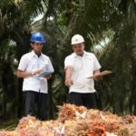 Holding Perkebunan Nusantara Perkuat Daya Saing SDM, PalmCo Targetkan 5.120 Sertifikasi Kompetensi Holding Perkebunan Nusantara Perkuat Daya Saing SDM, PalmCo Targetkan 5.120 Sertifikasi Kompetensi