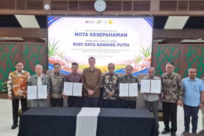 PTPN Group Akselerasi Swasembada Bawang Putih Nasional PTPN Group Akselerasi Swasembada Bawang Putih Nasional