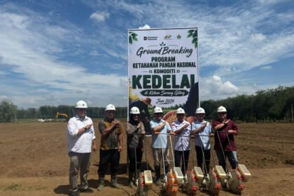 PTPN IV PalmCo Matangkan Pilot Project Kedelai Dukung Percepatan Swasembada Pangan Nasional