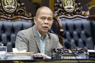RUU SDI Atur Penguatan Kedaulatan Data Nasional